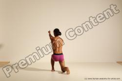 Elmer - Traditional Korean Art